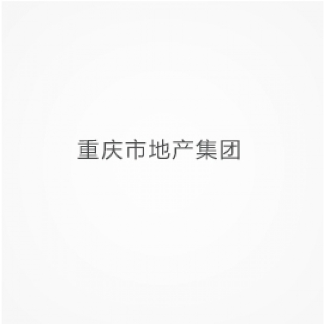重庆市地产集团